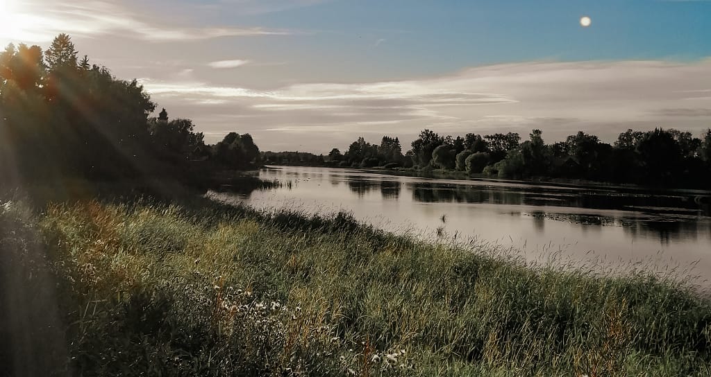 Kyrönjoen rantaa